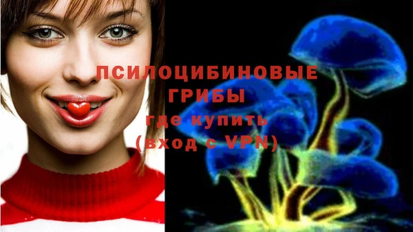 дурь Няндома