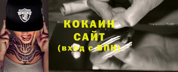 соль ск Абаза