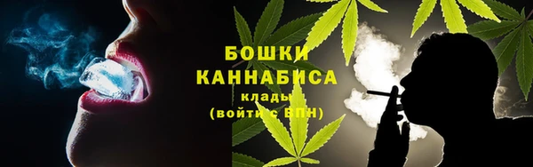 дурь Няндома