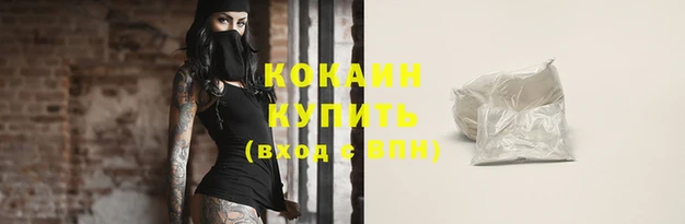 дурь Няндома