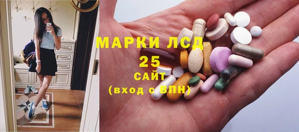 дурь Няндома